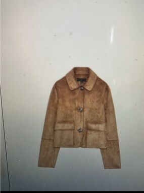 Zara Brown Cropped Suede Button-Front Jacket